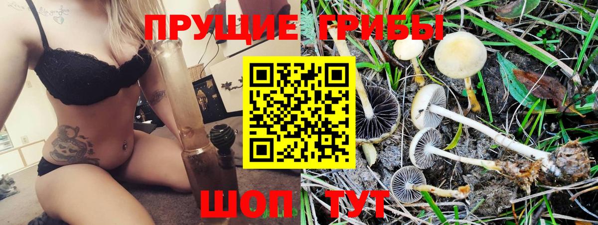 Славянск-на-Кубани  Псилоцибиновые грибы Psilocybine cubensis  Вход с VPN 