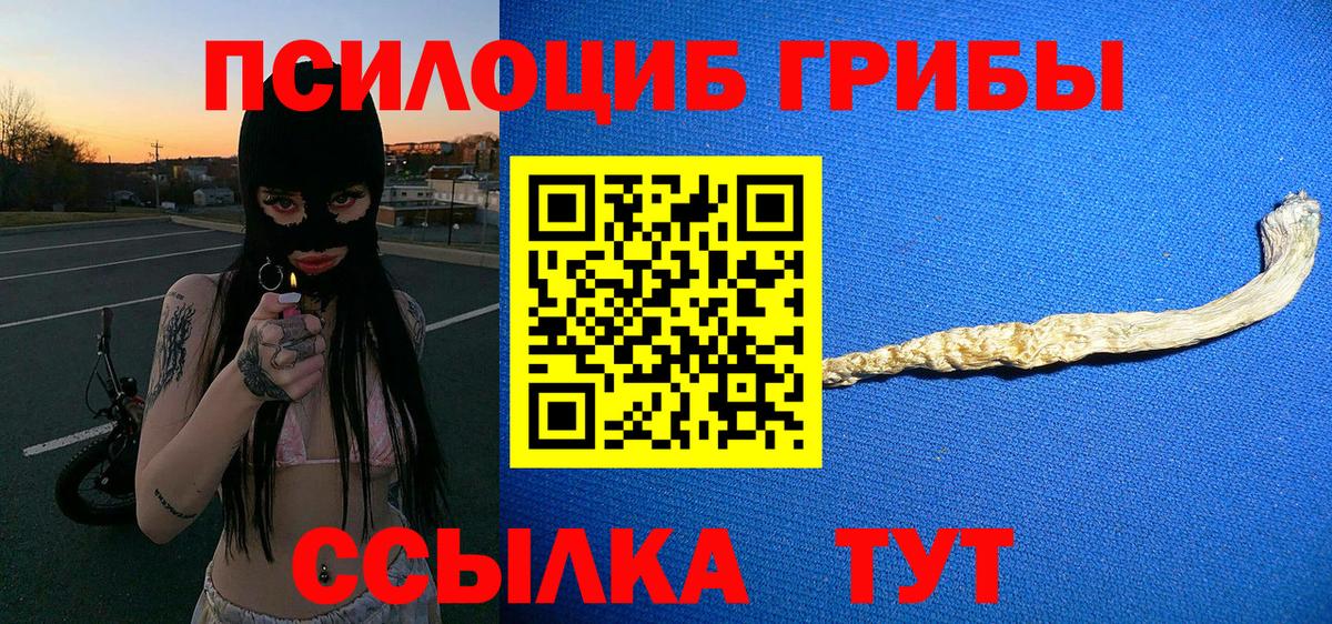Псилоцибиновые грибы Psilocybine cubensis Славянск-на-Кубани